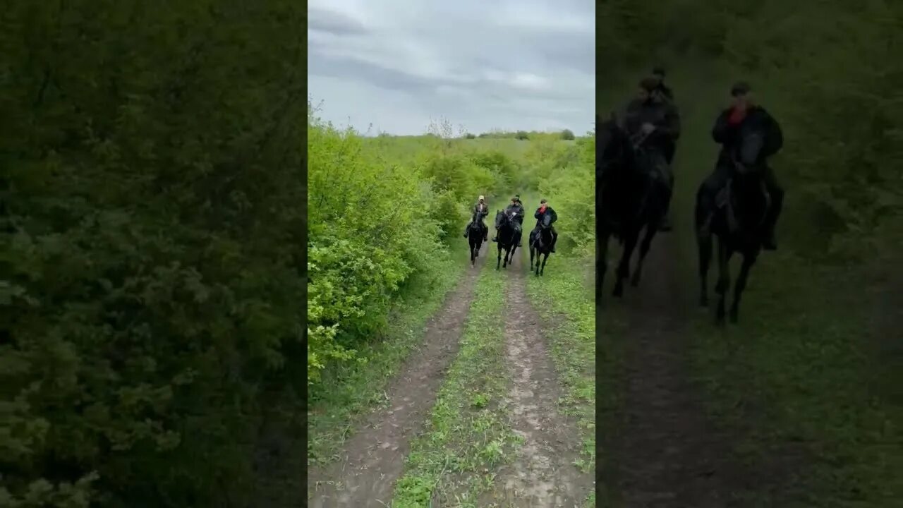 Братья рядом шайтаны плачут. Когда братья вместе шайтаны плачут. Когда братья рядом шайтаны. Шайтаны плачут