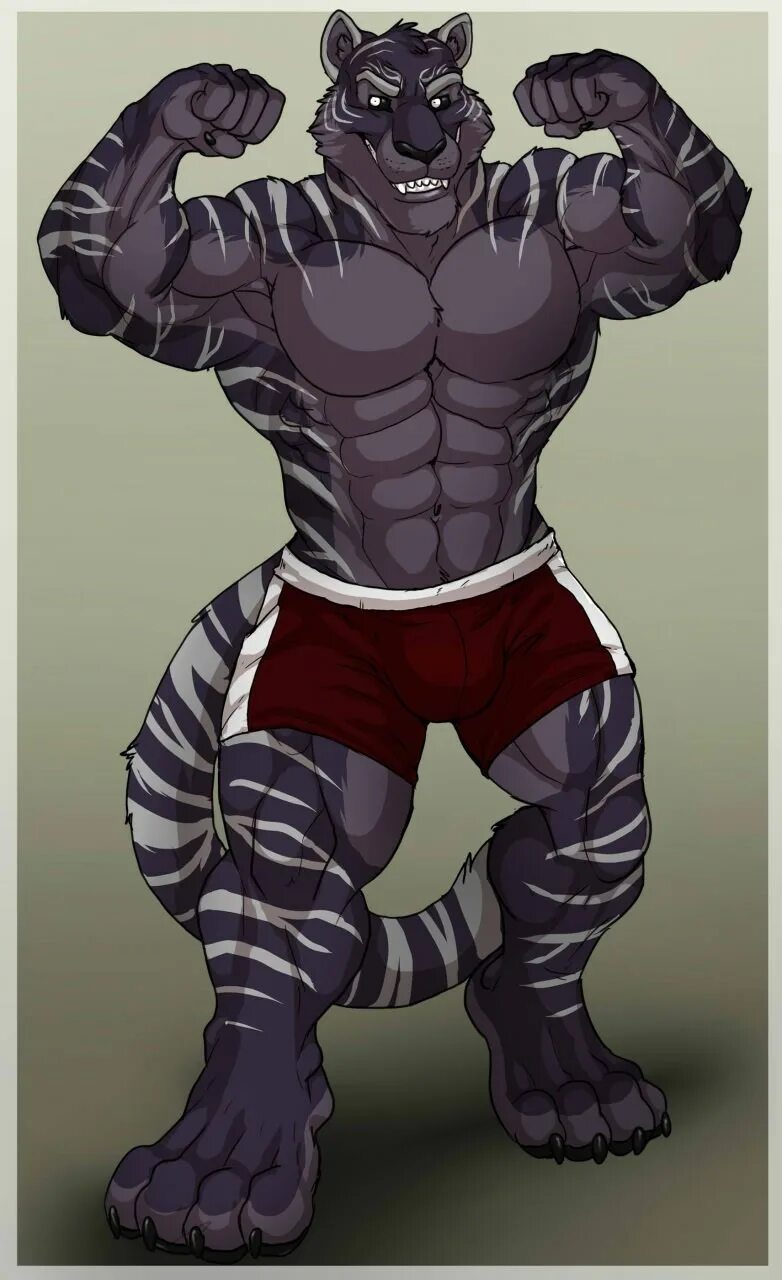 Tiger muscle. Tiger muscle. Накаченный тигр. Накаченный тигр. Muscle growth furry тигр.