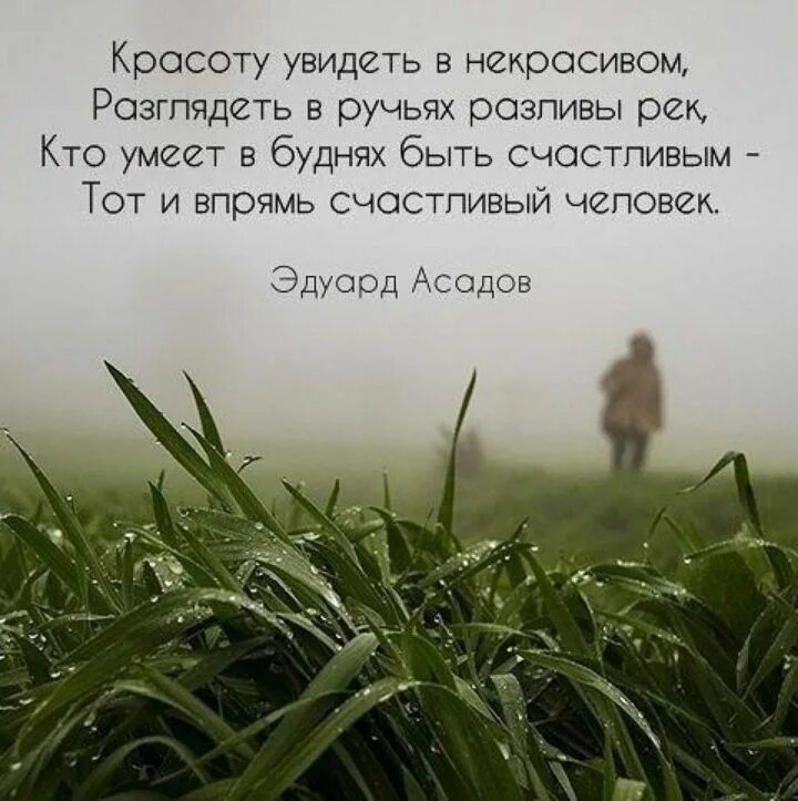 Красоту увидеть в некрасивом разглядеть в ручьях. Счастье цитаты из книг. Красоту увидеть в некрасивом. Высказывания из книг. Крас увидим