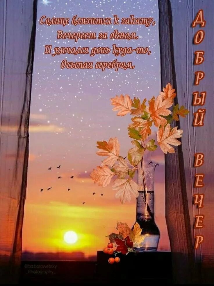Картинки добрый вечер и доброй ночи осенние. Доброго осеннего вечера. пожелания доброго вечера осенью. доброй осенней ночи пожелания. доброго осеннего вечера и спокойной ночи.