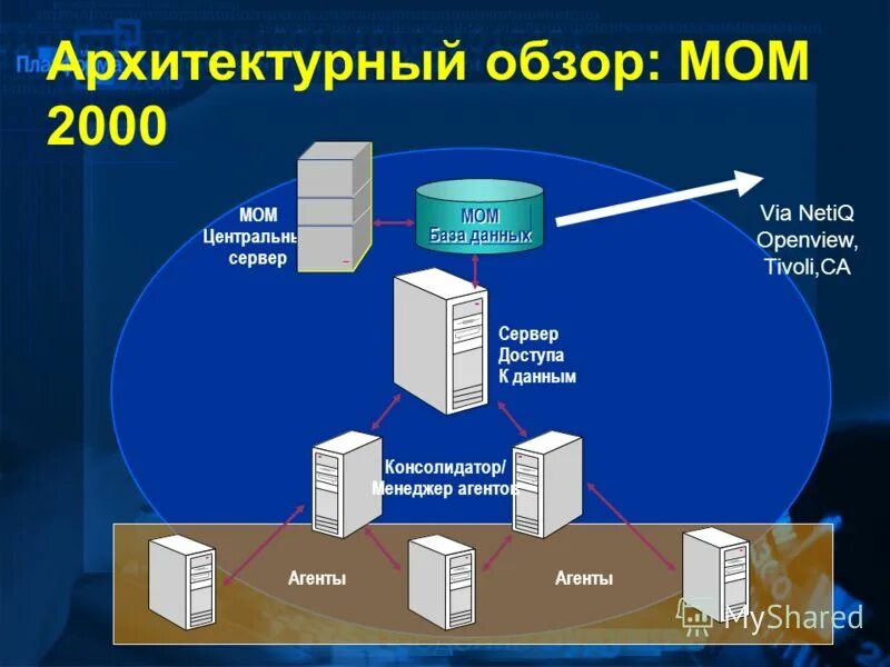 Данные агентов. Данные агентов