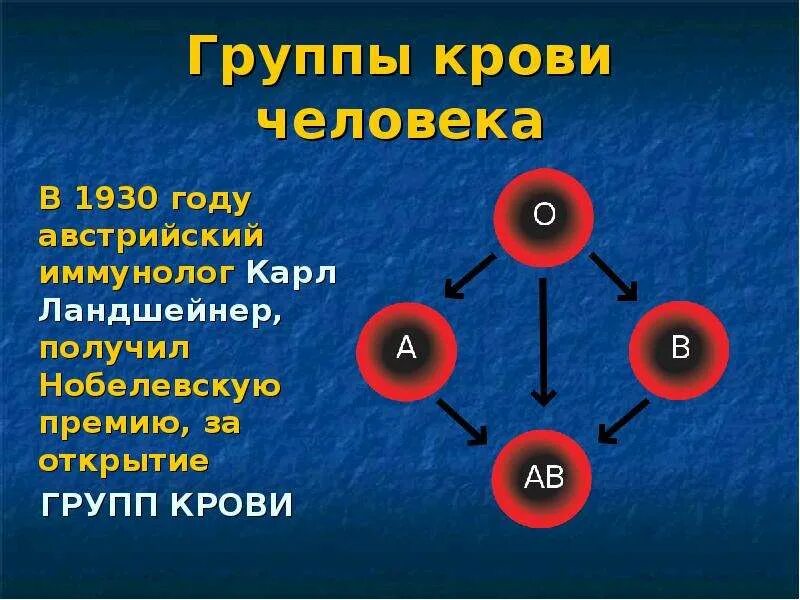 Взаимодействие группы крови. Группы крови человека. Кровь группы крови. Группа крови АВ. Информация про группы крови.