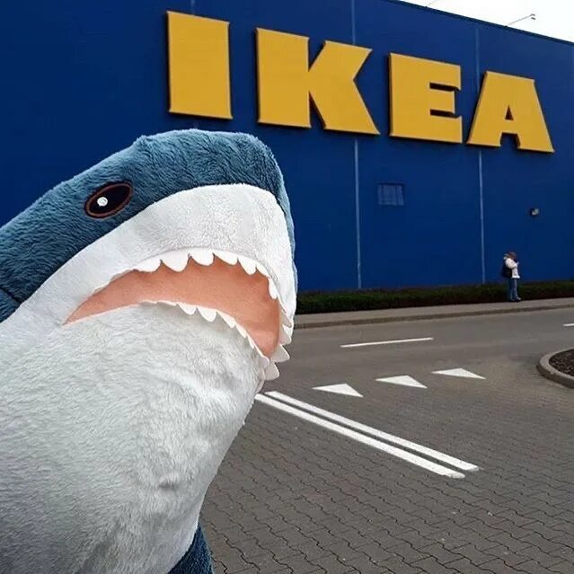 Ikea shark. Blåhaj блохэй. акула икеа голубая. плюшевая акула блохэй. акула икеа 100см.