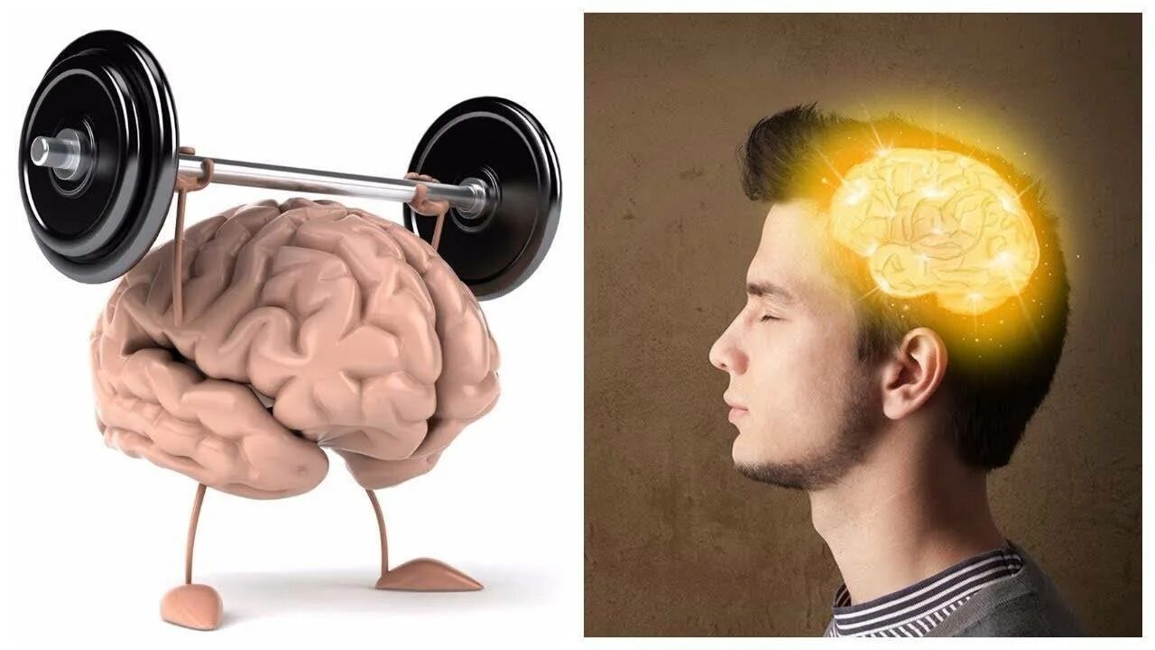 Ум ф
