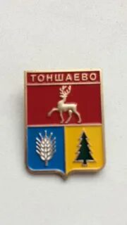 Погода п тоншаево