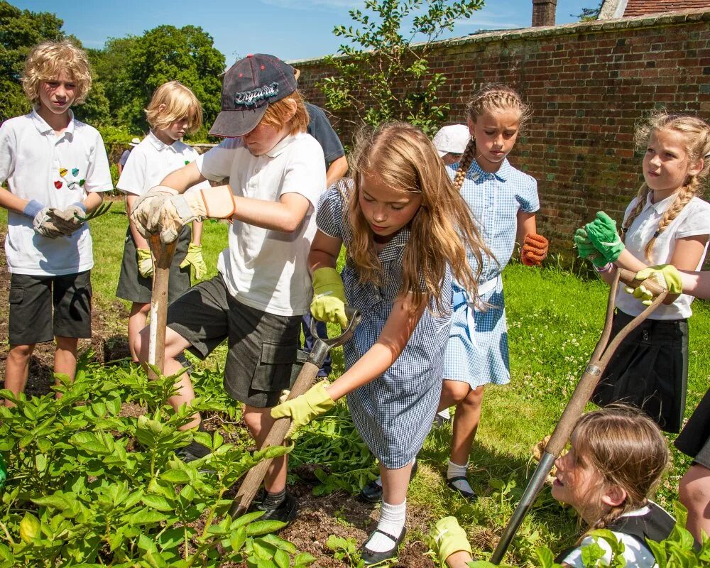 Community also. Бизнес для детей 8 лет. Helping the environment. Экологическая организация Kids for a clean environment. Фон Kids for a clean environment.