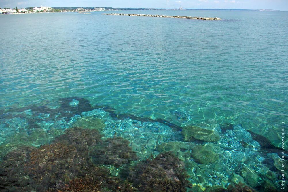 Дно Средиземного моря Турция. Подводный мир Средиземного моря Турция. Турция Средиземное море под водой. Кипр Айя Напа подводный мир.