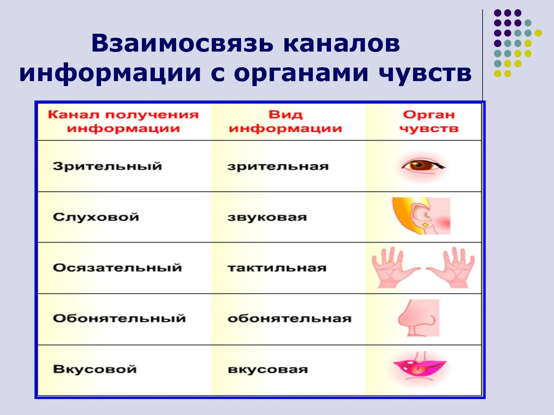 Виды информации по органам чувств. Виды информации. виды восприятия информации человеком. вид информации чувство орган.