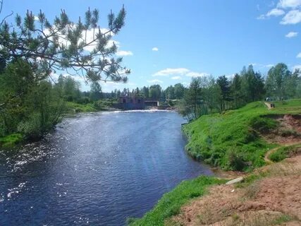Вырицкое городское поселение