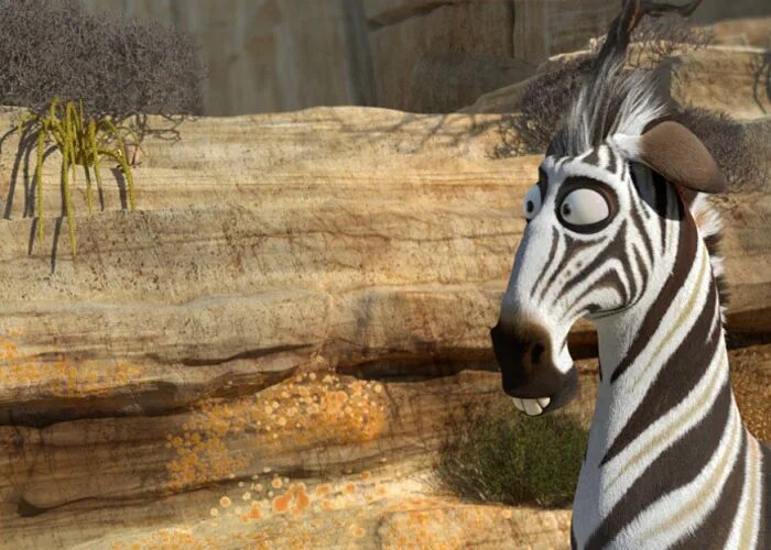 Кумба король саванны. Король сафари. Король сафари. Зебра кумба. Король сафари.