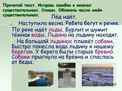 Ошибки в именах существительных