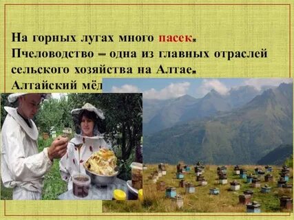 Население и хозяйство края
