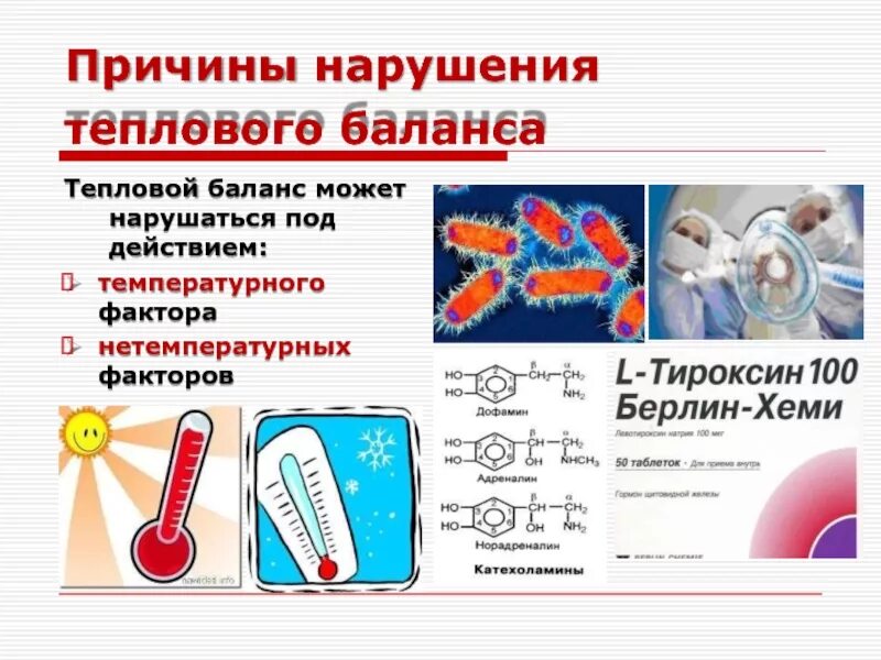 Нарушение теплового баланса организма. Типовые нарушения теплового баланса. Классификация нарушений теплового баланса.. Тепловой баланс организма человека. Причина изменения теплового баланса