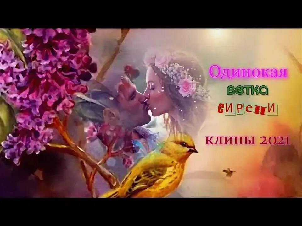 Одинокая ветка сирени караоке. Одинокая сирень клип