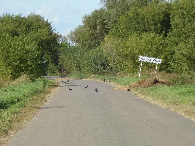 Погода в шагаево нижегородской области. Азрапино Починковский район Нижегородская. Село Азрапино Починковский район Нижегородской области. Азрапинская школа Починковский район Нижегородская область. Ризоватово Починковский район Нижегородской.