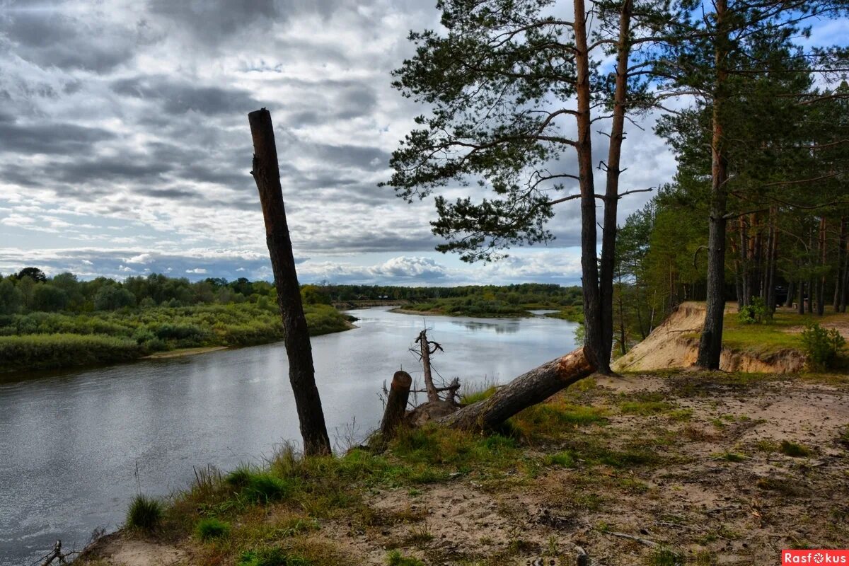 берег клязьмы. речка клязьма в московской области. клязьма клязьма. берег клязьмы. берег реки клязьма владимирская область.