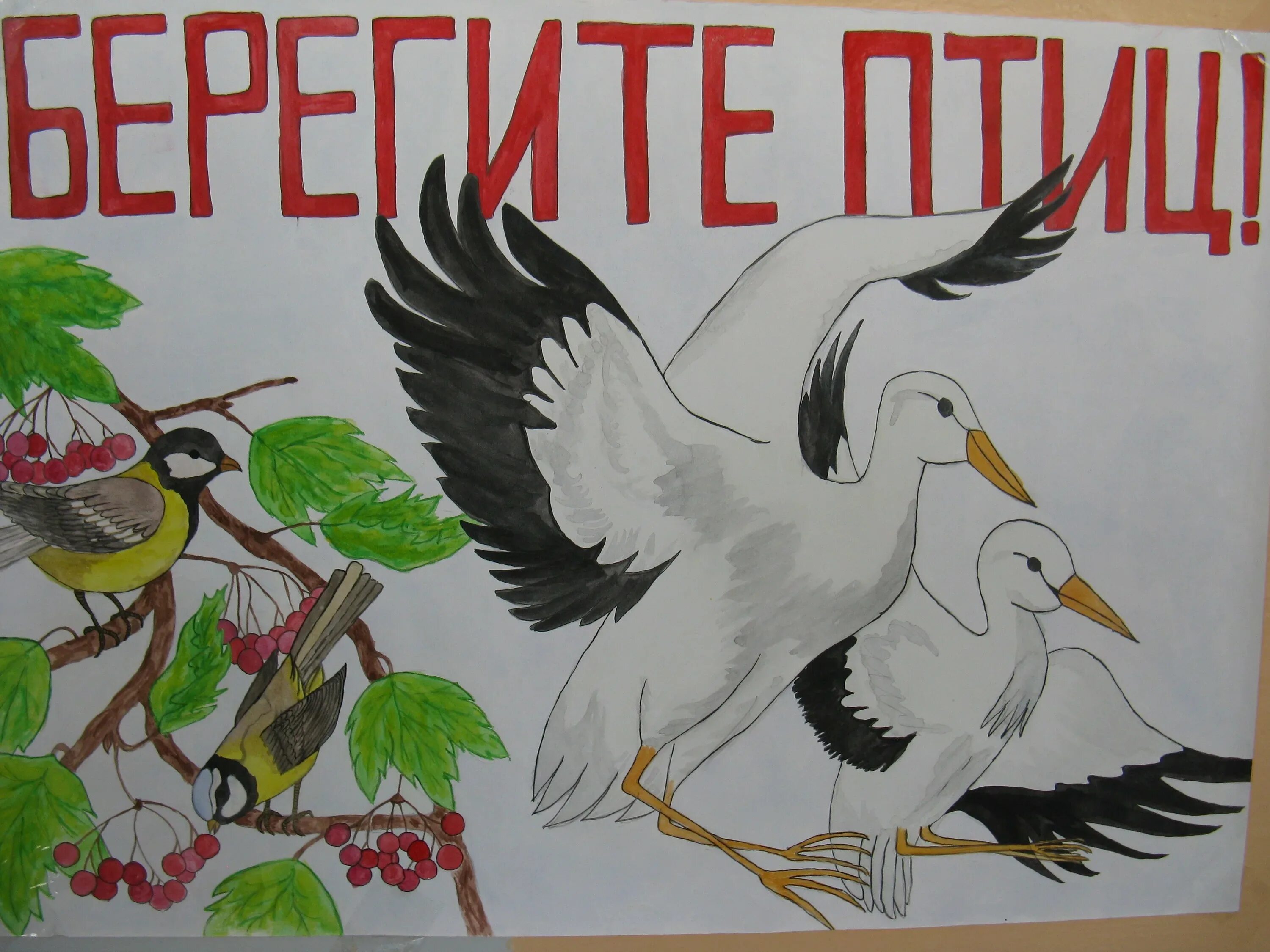 Газета ко Дню птиц. Плакат на день птиц. Международный день птиц рисунок. Картина на день птиц. Слоган птицы