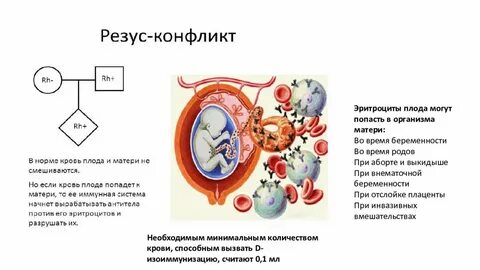 Резус несовместимость