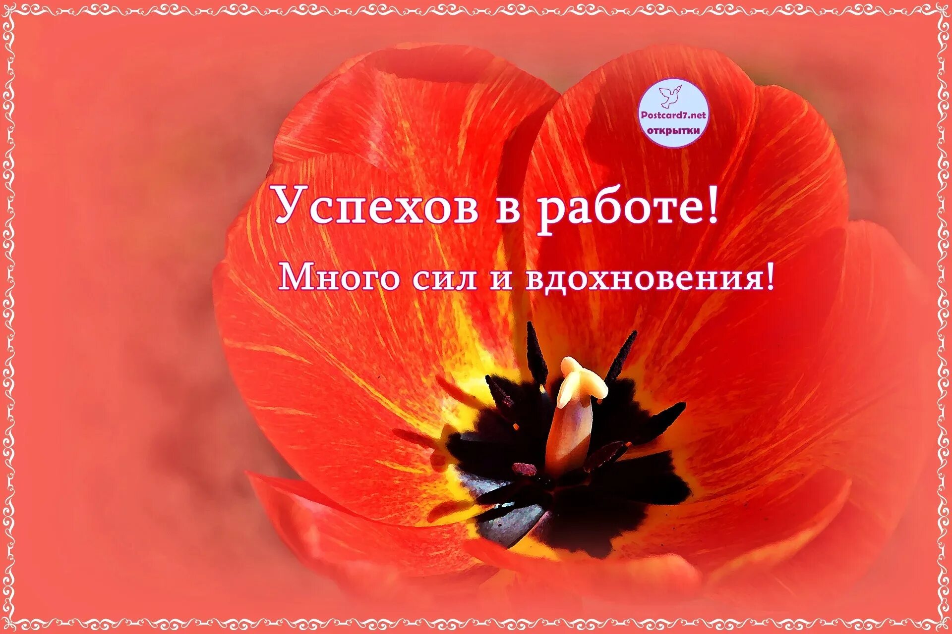 Успехов в работе. Открытка успехов в работе. Поздравление с успехом в работе. Открытки с пожеланиями успехов в работе. Картинки пожелание успеха