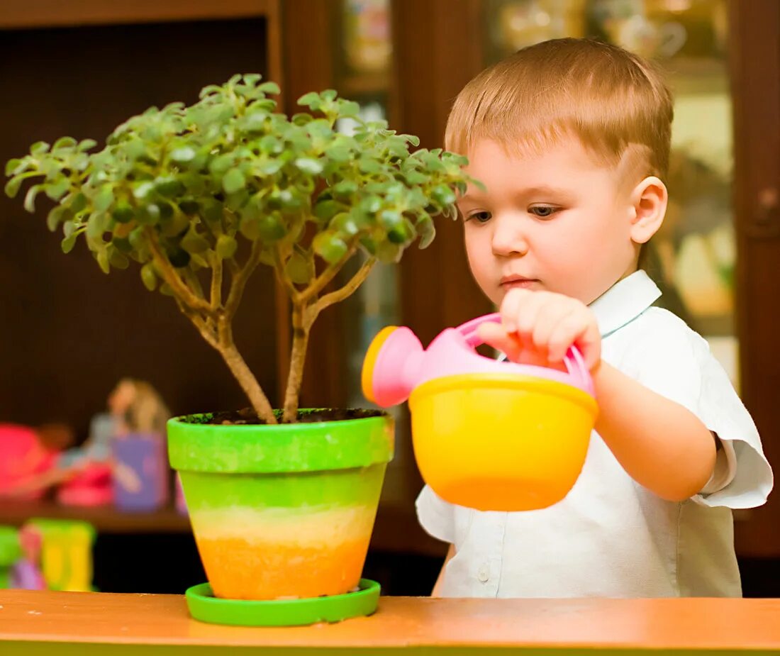 Baby plant. Домашние растения для детей. Дети поливают цветы. Комнатные цветы для детей. Ребенок в цветочном горшке.