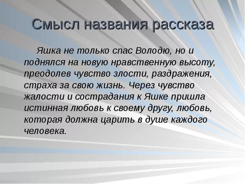 Что яшка советует надеть володе на рыбалку. Смысл названия рассказа. Сочинение на тему Яшка верный товарищ. Сочинение на тему Яшка верный друг. Проблематика рассказа тихое утро.