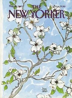 May cover