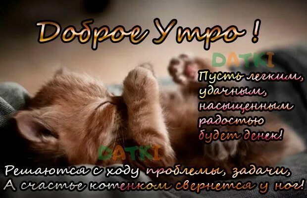 С ДОБРЫМ ЧУДЕСНЫМ УТРОМ..НЕМНОЖКО МОРОЗЕЦ..НЕМНОЖКО НЕУЮТНО..НО ТИХО И ТЕПЛО В Д