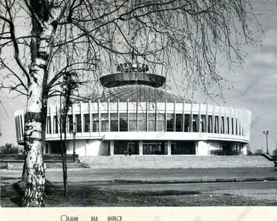 Цирк кинешма