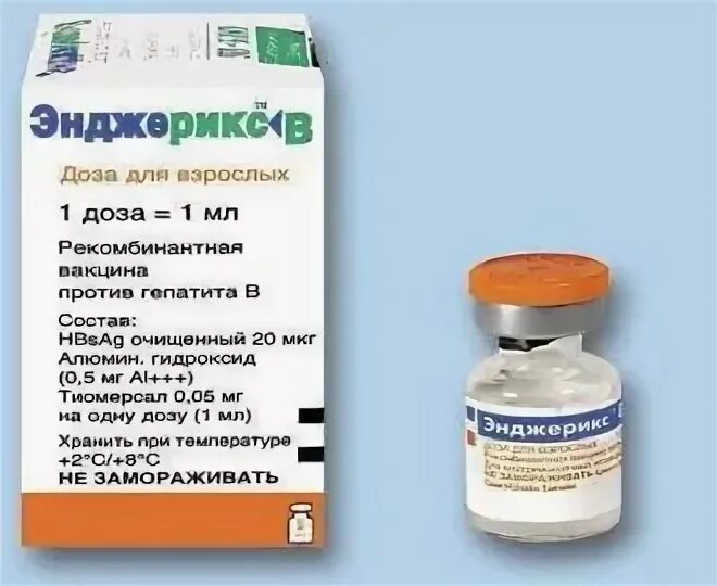 Энджерикс вакцина. Вакцина против гепатита в. Энджерикс от гепатита в. Вакцина энджерикс в это Живая.