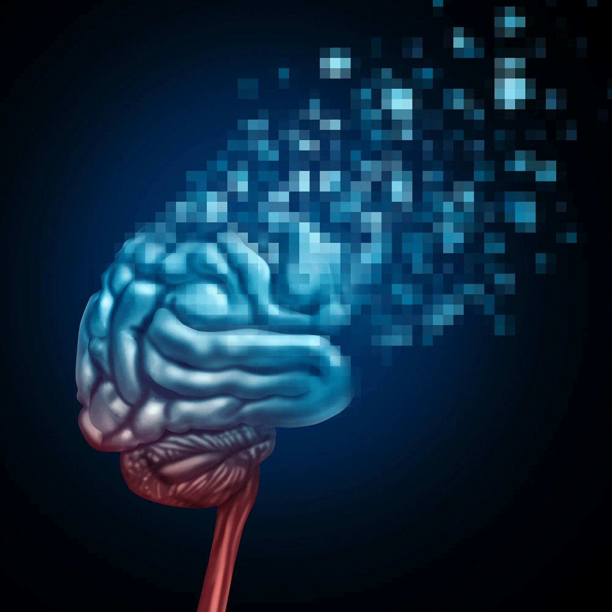 Цифровой мозг. Закачка информации в мозг. Цифровые мозги. Мозг картина.