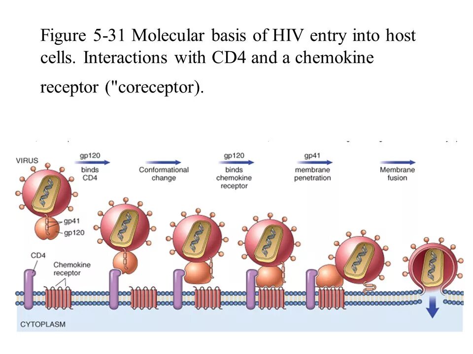 Cd 4 класс. Cd 4 класс