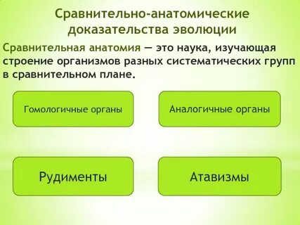 Эволюционное сравнительная