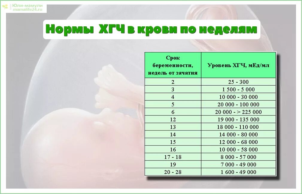 Может ли гинеколог определить беременность на раннем сроке
