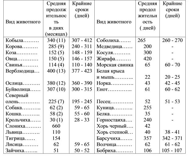 Длительность беременности у животных. Сроки беременности у животных таблица в месяцах. Период беременности у животных таблица. Длительность беременности у животных таблица. Срок беременности у коров