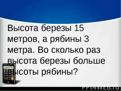Высота березы 15м а рябины