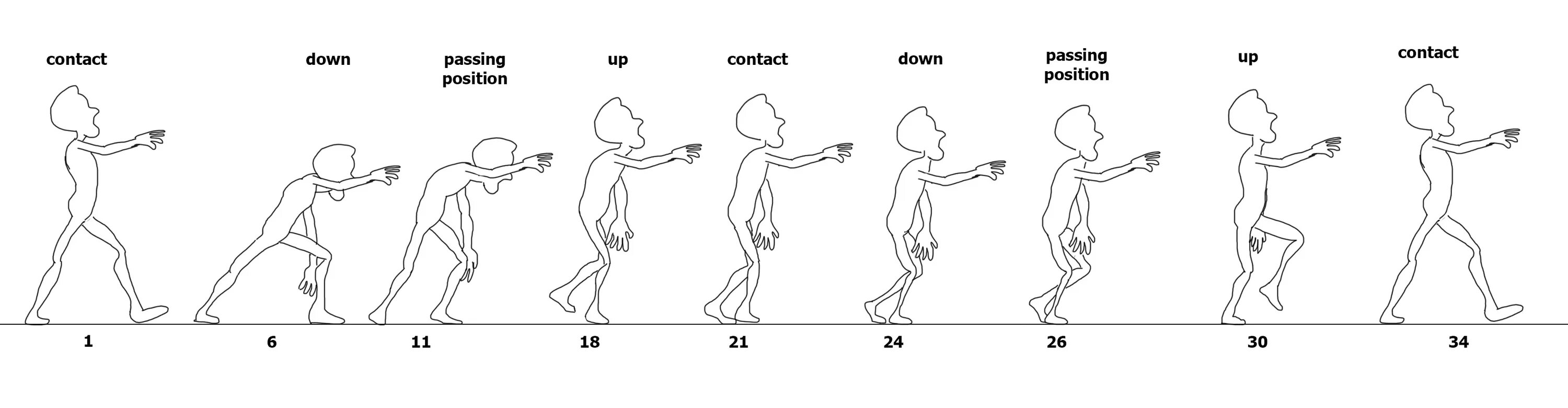 Ось walks. Reference walk Cycle one.