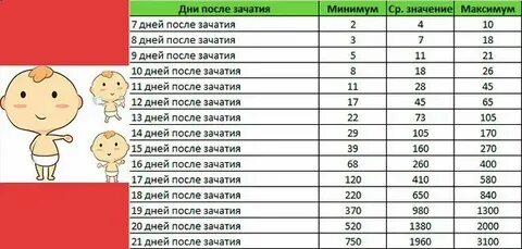 8 день после зачатия что происходит