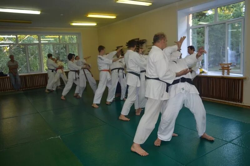 сенсей сарапул. саня сенсей бой. синсей магазин логотип. сенсей омск триумф. сенсей сарапул.