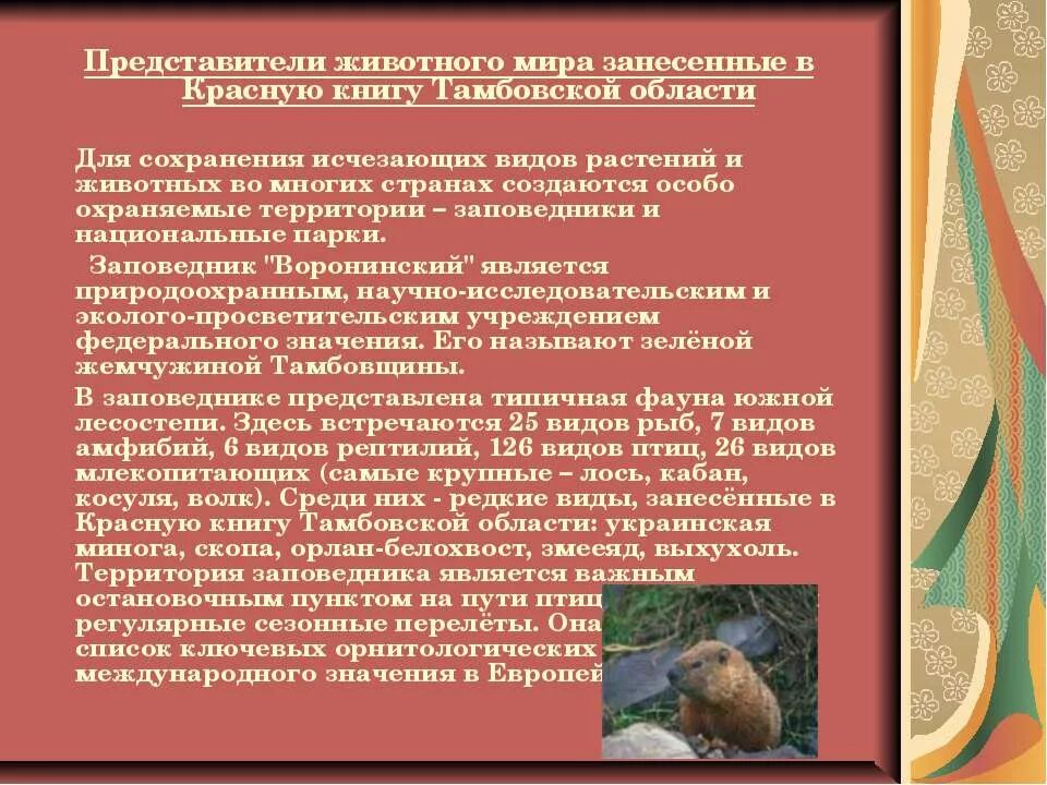Почему многие растения и животные стали редкими