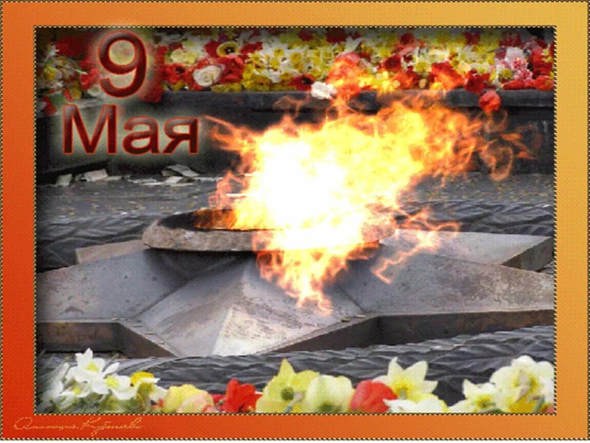 Вечный огонь. С днем победы. Открытки с днем с огнем. Пожарная безопасность огонь. Огненный цветок.