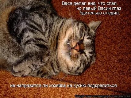 Вась ты почему делаешь вид как будто