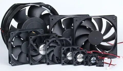 Fan type 1