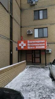 Центр ветеринарной травматологии