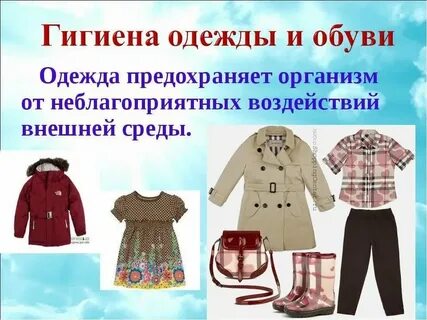 Внешний вид раскрытой