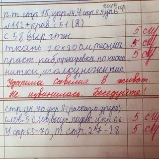 Учитель пишет в дневник