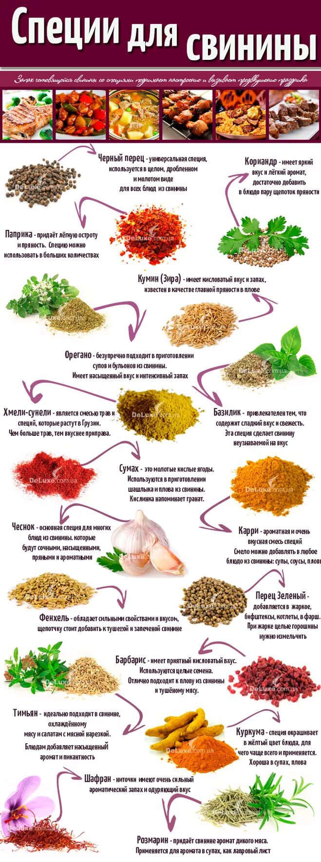 Какие приправы для печени. Перечень пряностей и приправ. Мясо в специях название. Сочетание специй и пряностей. Специи для мяса таблица.