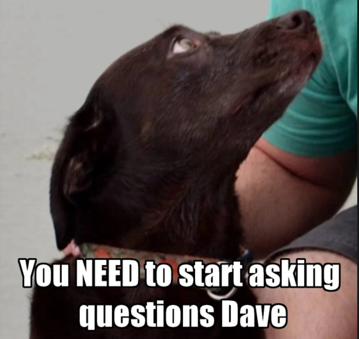 Need to ask a question. Start asking questions dave. you need to start asking questions dave. you need to start an asking questions. дейв тебе пора задавать вопросы.