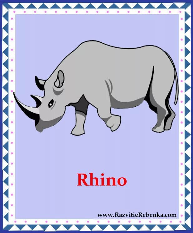 карточки домана животные африки. карточки с животными для малышей. карточка по английскому носорог. широконосый носорог. карточки с животными носорог.