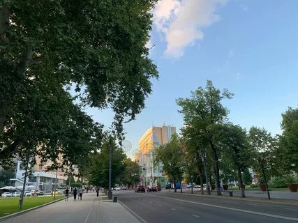 Июль на кубани 2024