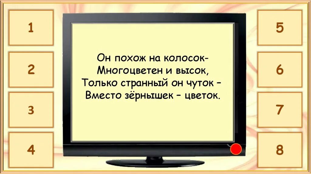 Замечательный цветок словно. Замечательный цветок словно яркий огонёк. Я похож на колосок но вместо зернышек цветок ответ. Я похож на колосок вместо зёрнышек цветок что это за цветок.